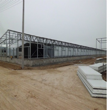 Steel structure poultry shed