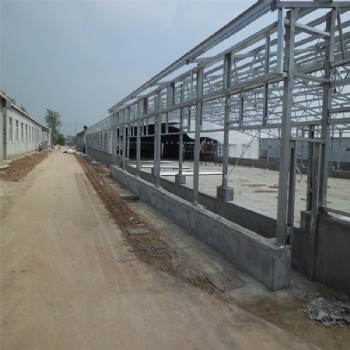 Steel structure poultry shed