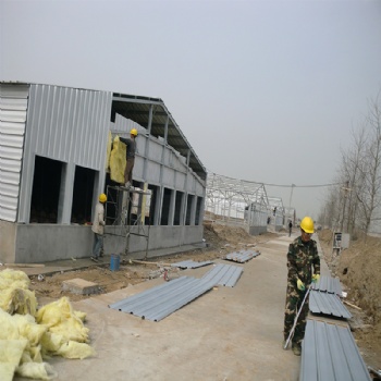 Steel structure poultry shed