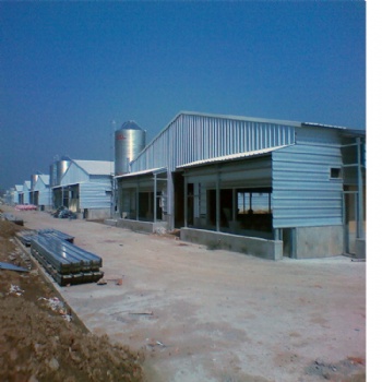 Steel structure poultry shed