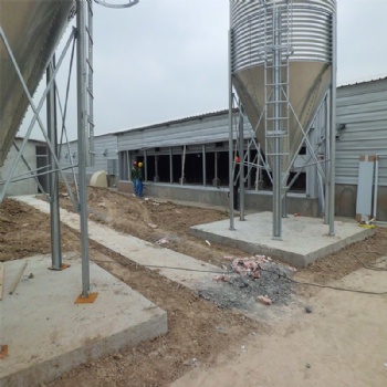 Steel structure poultry shed